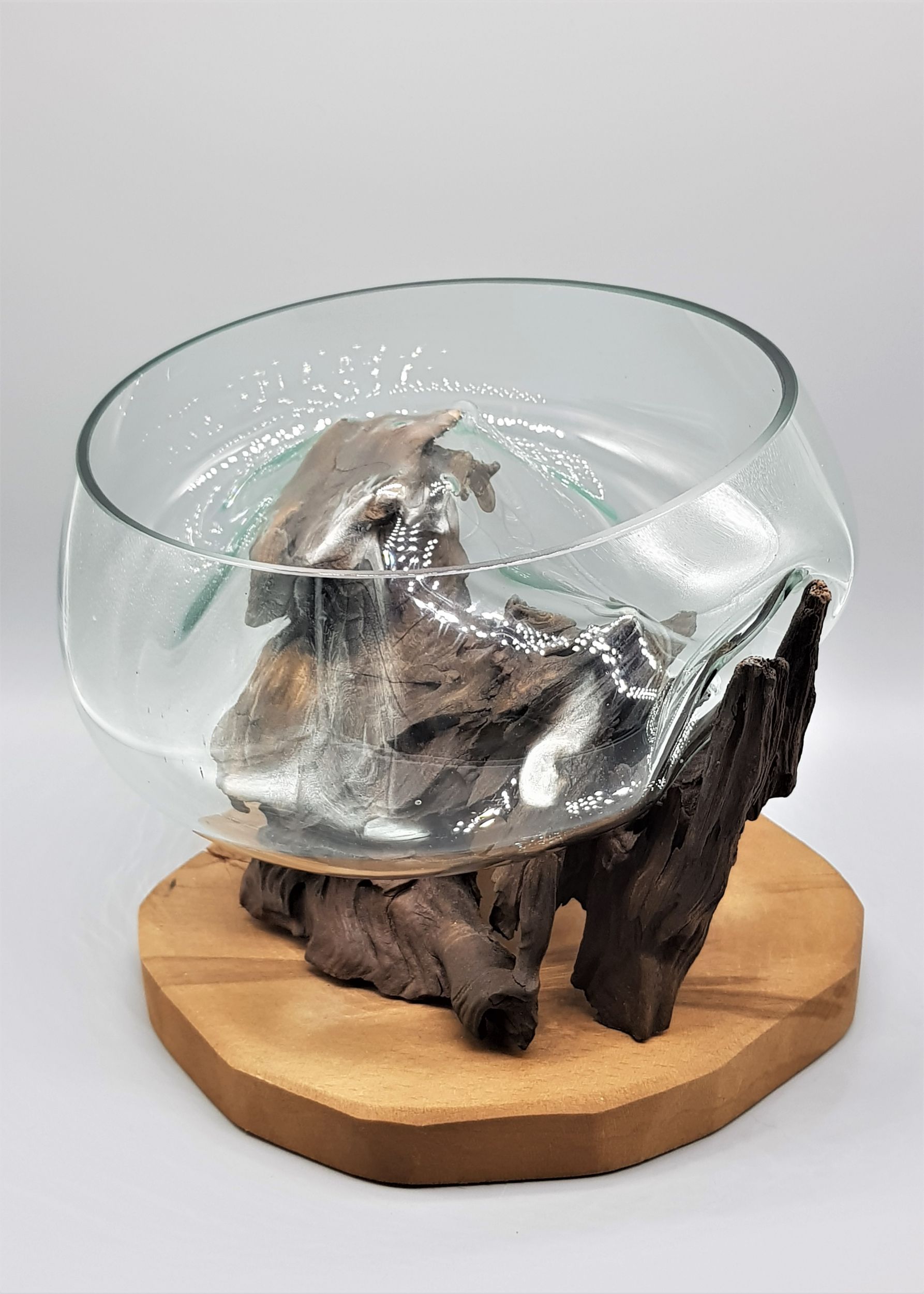 GLASS BOWL ON A ROOT 2