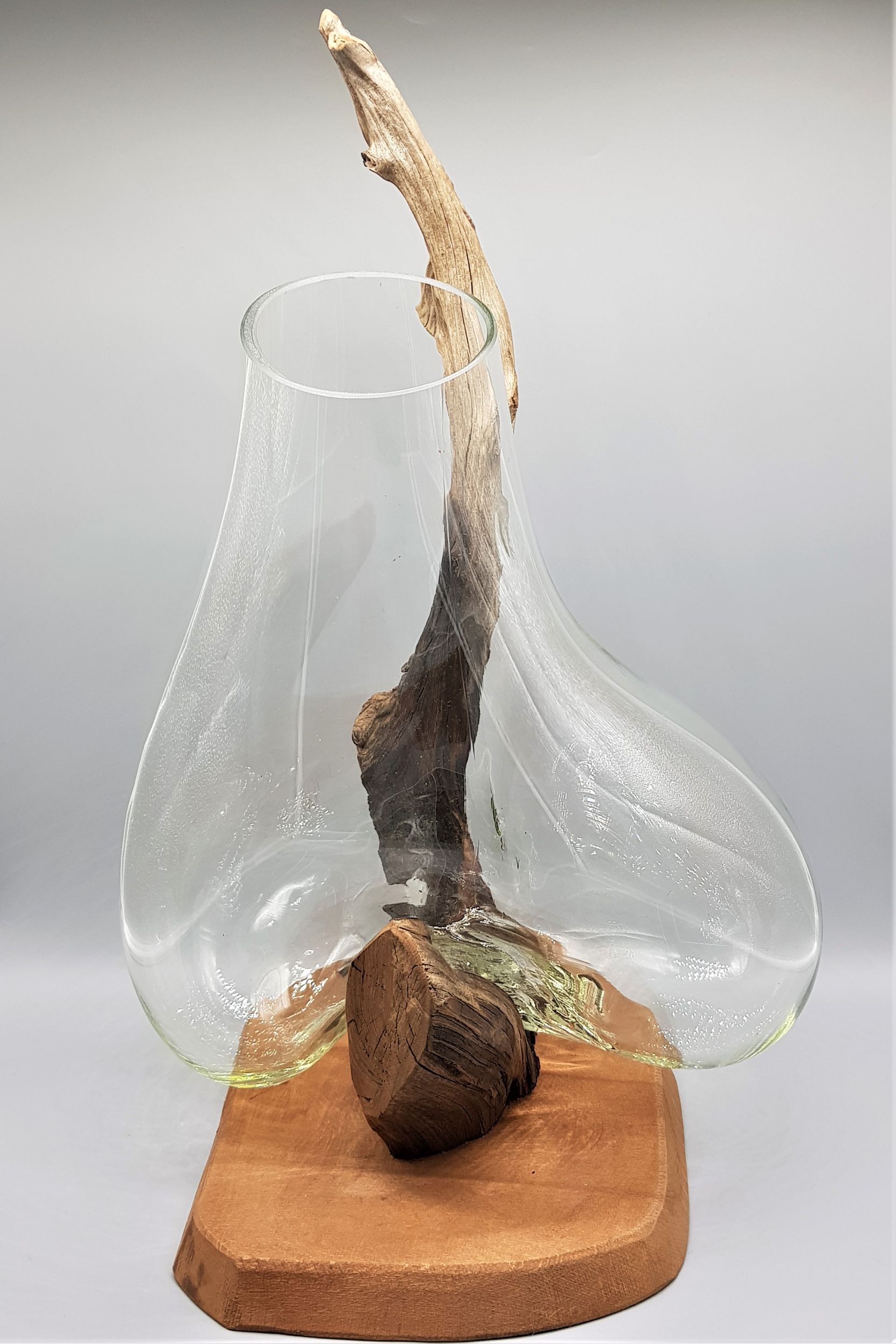 GLASS VASE ON A ROOT